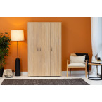BASIC - 3D SONOMA WARDROBE