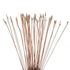 Solar garden lamp - dandelions Gardlov 25477
