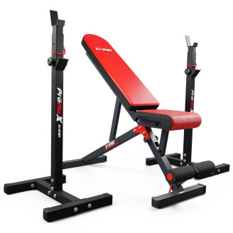 training bench and adjustable barbell support