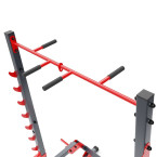 Multifunctional stand with a fixed pull-up bar