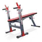 Exercise bench and 100 kg weight set