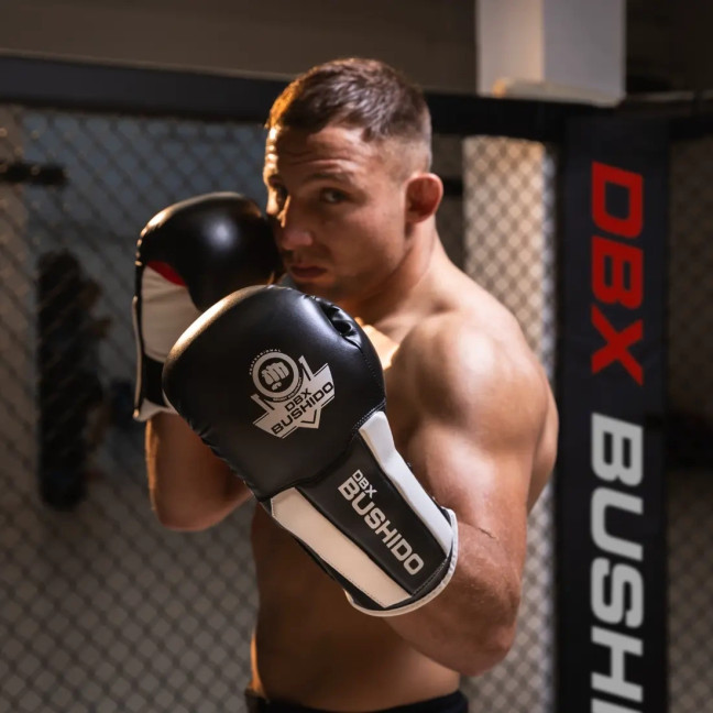 Boxing Gloves with ActivClima System and Wrist Protect B-3W - 14 oz