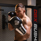 Boxing Gloves with ActivClima System and Wrist Protect B-3W - 14 oz