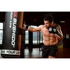 Boxing Gloves with ActivClima System and Wrist Protect B-3W - 14 oz