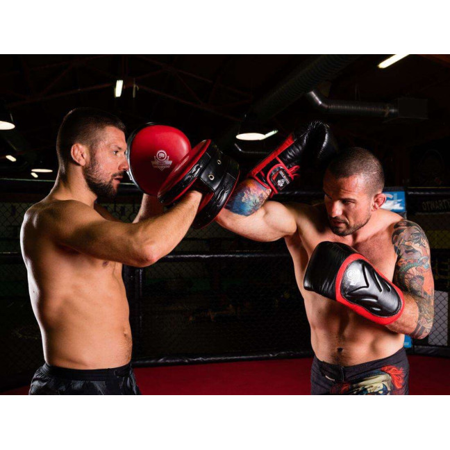 Boxing Gloves with Wrist Protect BB4