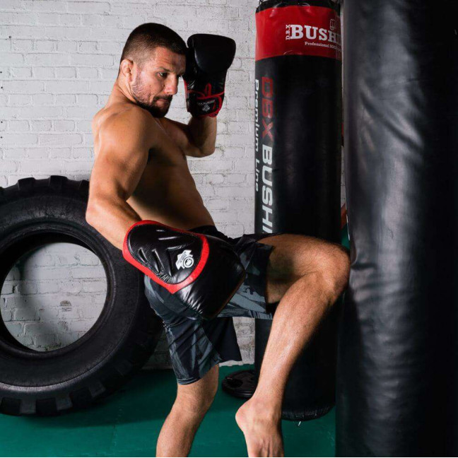 Boxing Gloves with Wrist Protect BB4