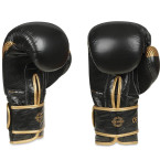 Boxing gloves made of natural leather B-2v13
