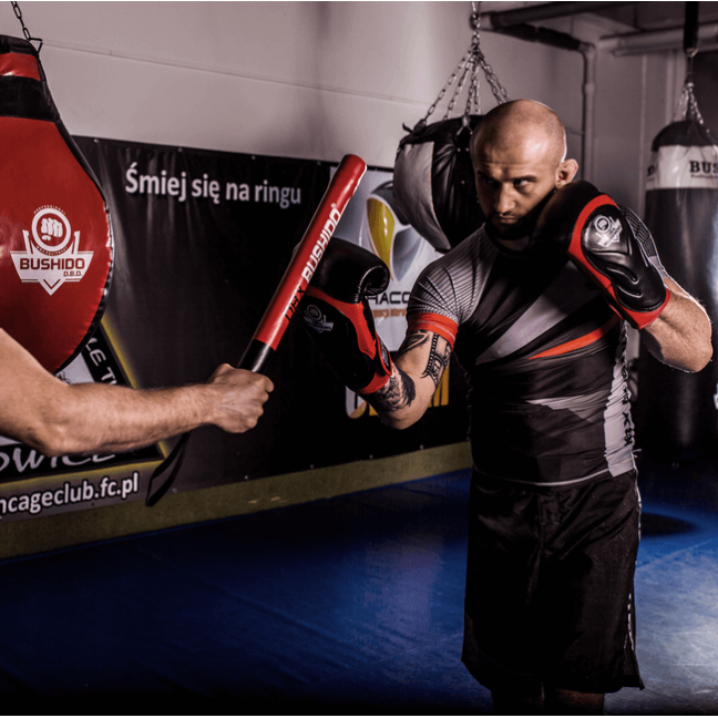 Boxing Gloves with Wrist Protect BB4