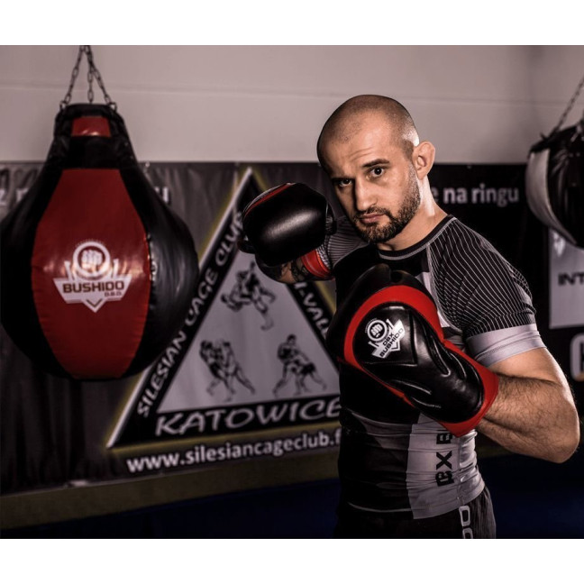 Boxing Gloves with Wrist Protect BB4