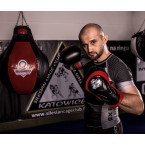 Boxing Gloves with Wrist Protect BB4