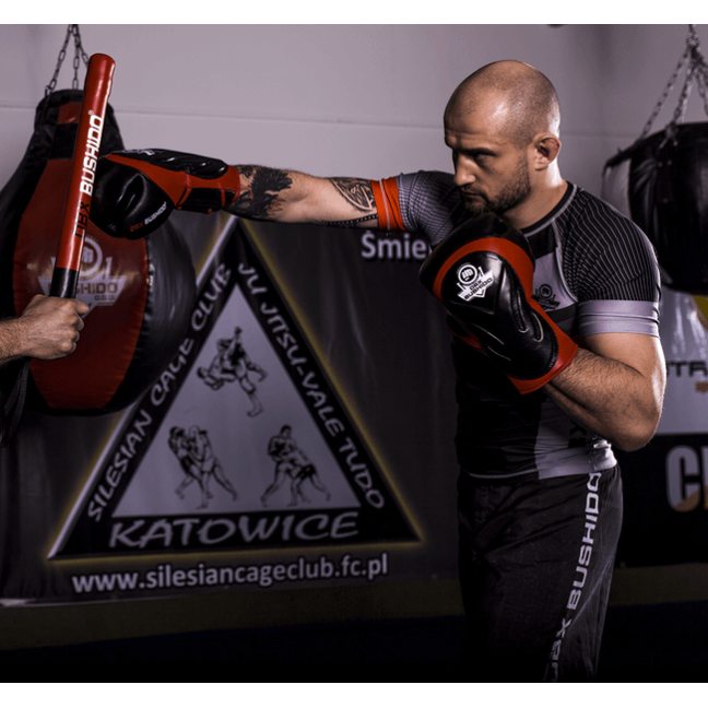 Boxing Gloves with Wrist Protect BB4