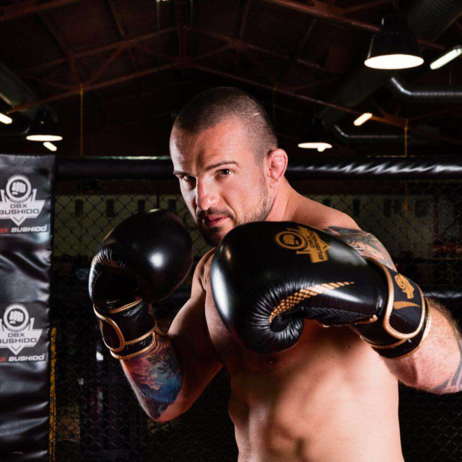 Boxing gloves made of natural leather B-2v13