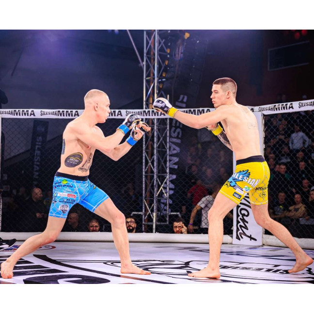 ARM-2011b MMA Gloves DBX BUSHIDO L/XL