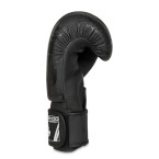 DBX BUSHIDO "Black Dragon" B-2v18 8oz sparring boxing gloves