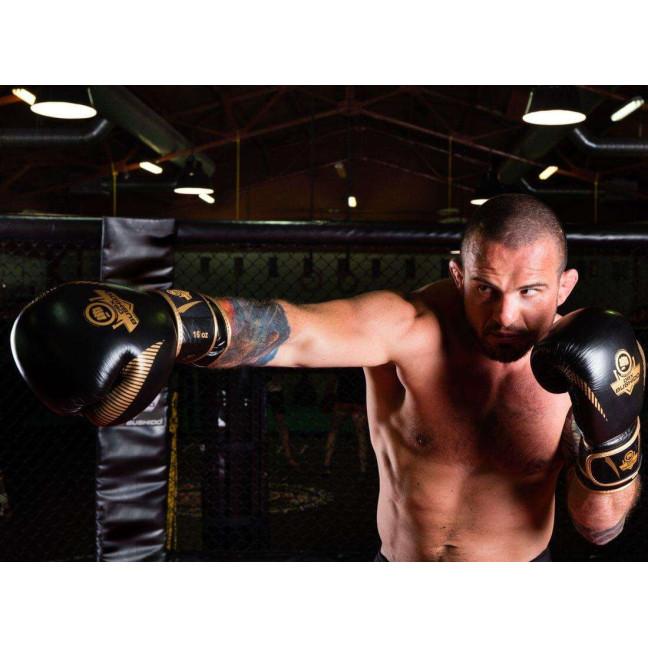 Boxing gloves made of natural leather B-2v13