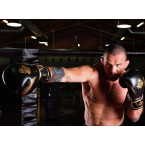 Boxing gloves made of natural leather B-2v13