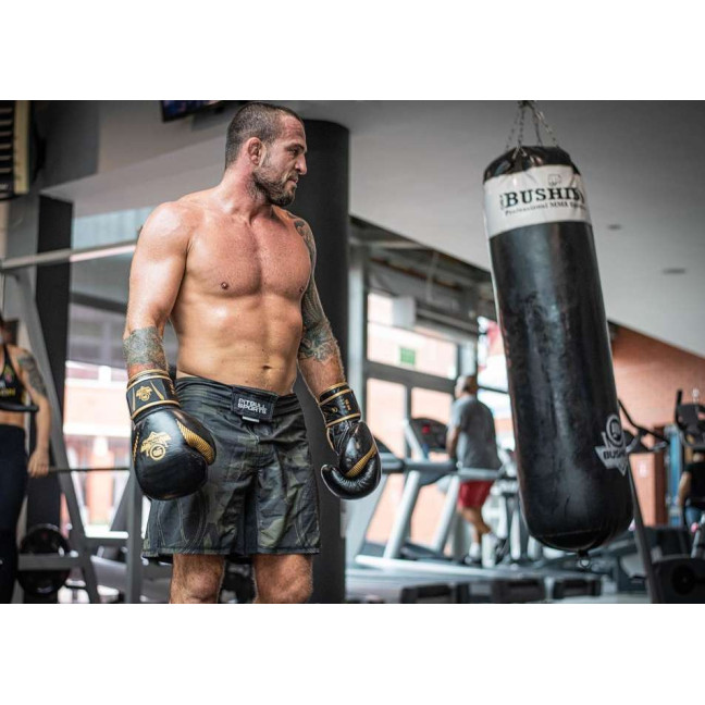 Boxing gloves made of natural leather B-2v13