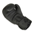 DBX BUSHIDO "Black Dragon" B-2v18 8oz sparring boxing gloves