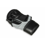 ARM-2011b MMA Gloves DBX BUSHIDO L/XL