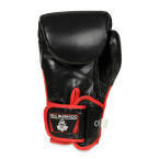 Boxing Gloves with Wrist Protect BB4
