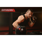 E1v4 MMA Gloves DBX BUSHIDO L