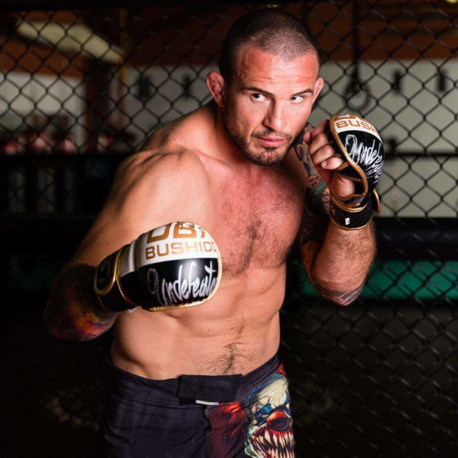 ARM-2011b MMA Gloves DBX BUSHIDO L/XL