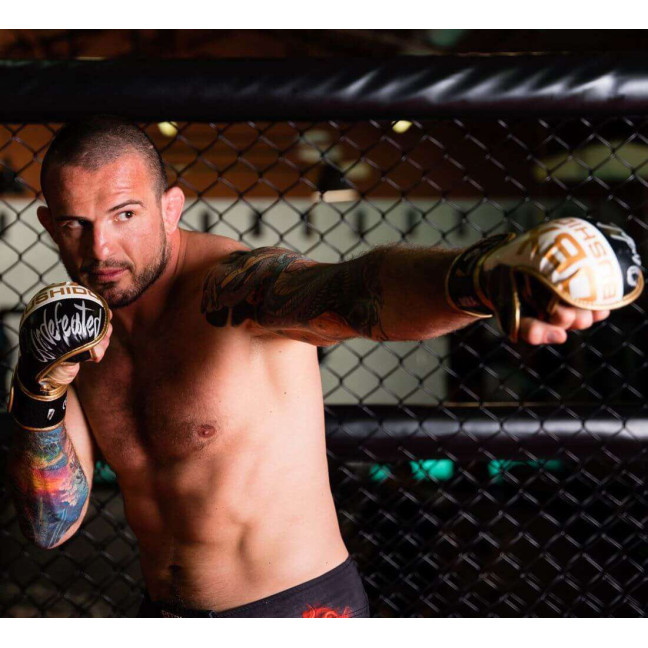 ARM-2011b MMA Gloves DBX BUSHIDO L/XL