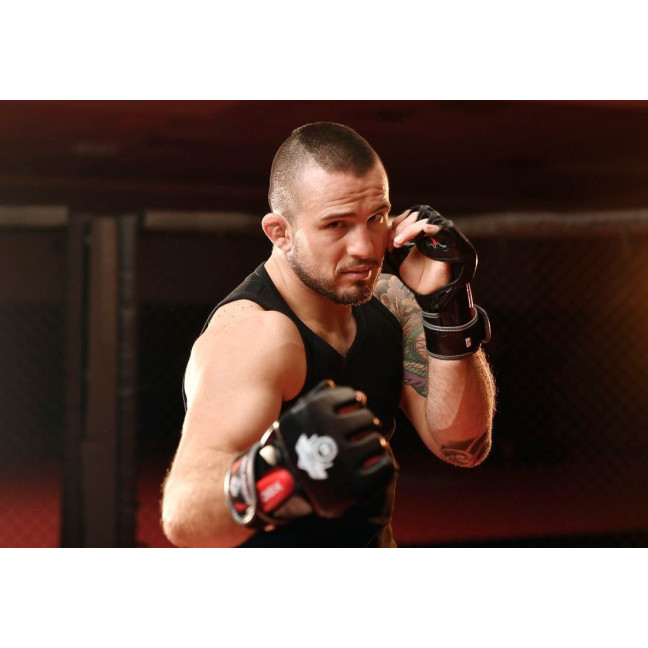 E1v4 MMA Gloves DBX BUSHIDO L