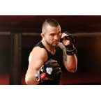 E1v4 MMA Gloves DBX BUSHIDO L