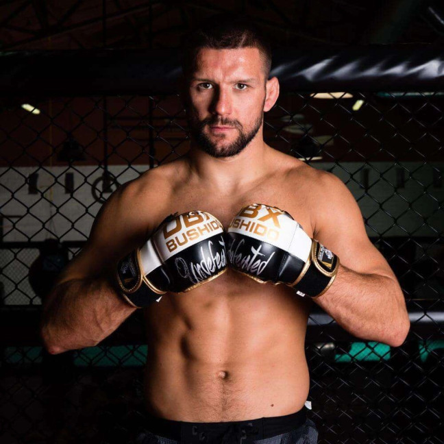 ARM-2011b MMA Gloves DBX BUSHIDO L/XL