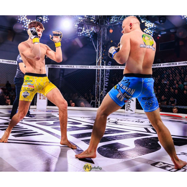 ARM-2011b MMA Gloves DBX BUSHIDO L/XL