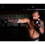 E1v4 MMA Gloves DBX BUSHIDO L